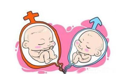 陈医生